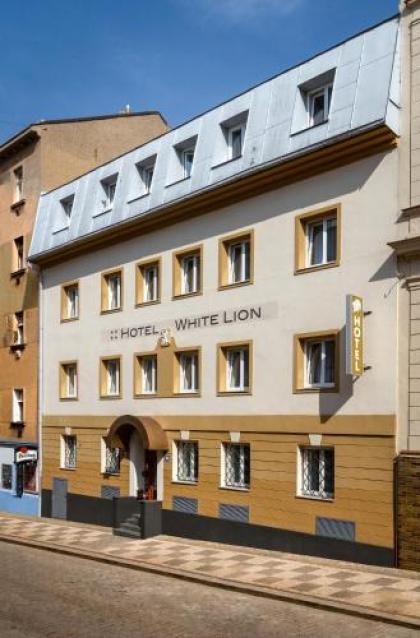 Hotel White Lion - image 9
