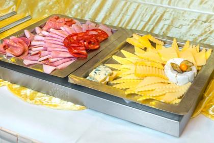Congress & Wellness Hotel Olsanka - image 10