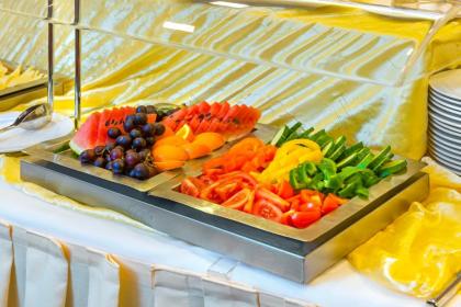 Congress & Wellness Hotel Olsanka - image 11