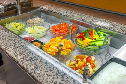 Congress & Wellness Hotel Olsanka - image 13