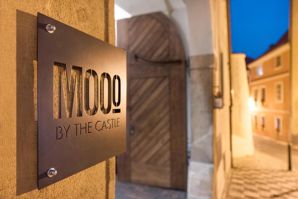 MOOo by the Castle - image 4