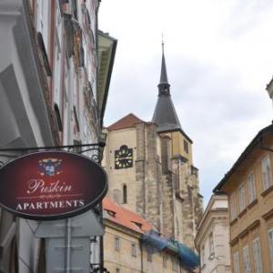 Apartments Pushkin