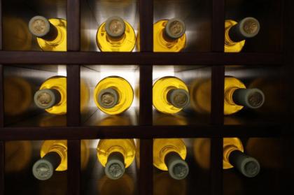 Hotel Carol - image 13