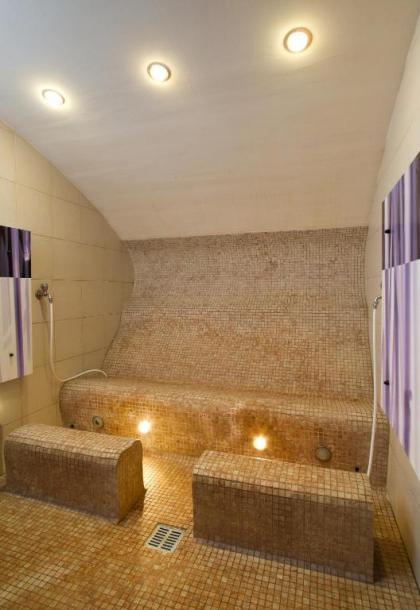 Falkensteiner Hotel Maria Prag - image 8