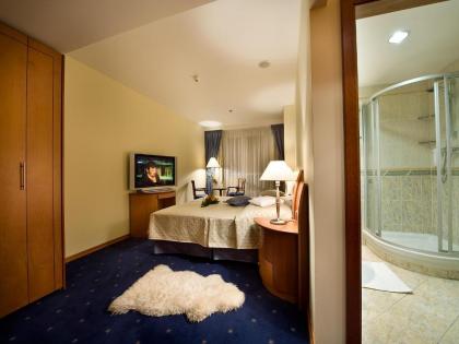 Ramada Prague City Centre - image 11