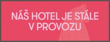 Hotel Troja - image 1