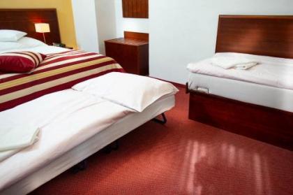 Hotel Petr - image 16