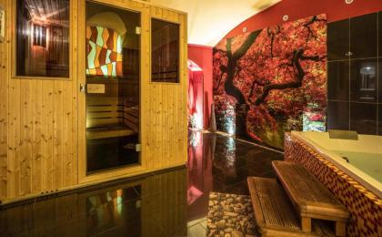 EA Hotel Sonata - image 3