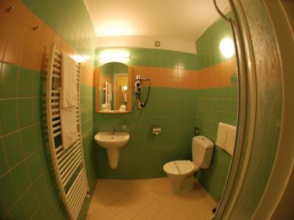 EA Hotel Tosca - image 19