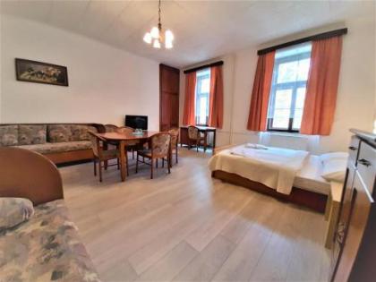 Hotel Olga - image 10