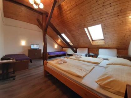 Hotel Olga - image 9