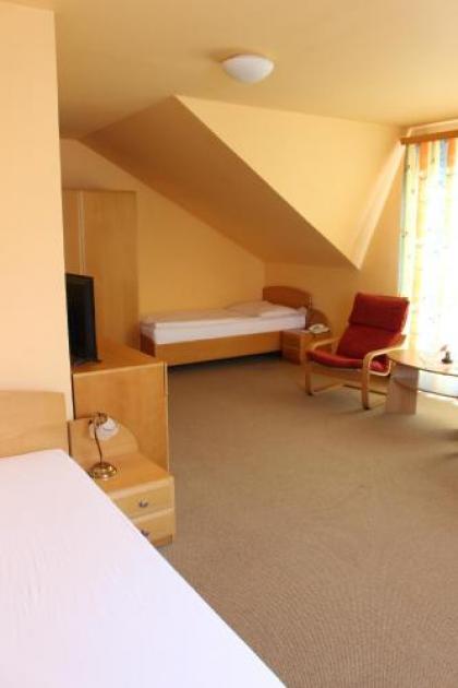 Motel U Krbu - image 11