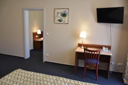 Aparthotel Austria Suites - image 19