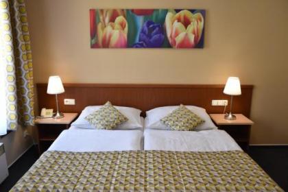 Aparthotel Austria Suites - image 4