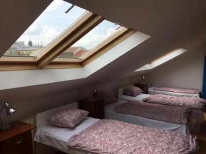 Hostel Rosemary - image 6