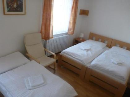Hotel Garni Rambousek - image 15