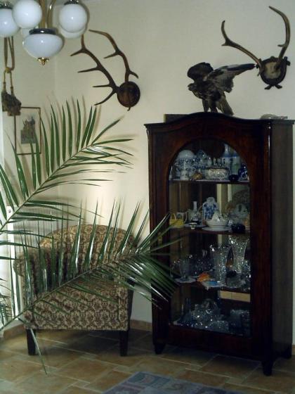 Villa Olivia - image 11