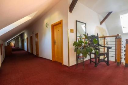 Hotel Čertousy - image 12