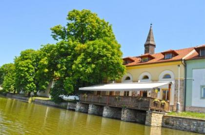 Hotel Čertousy - image 15