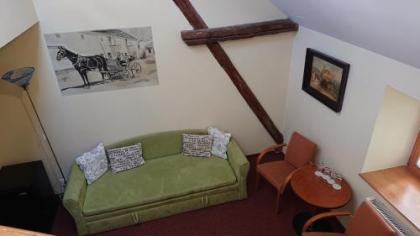 Hotel Čertousy - image 7