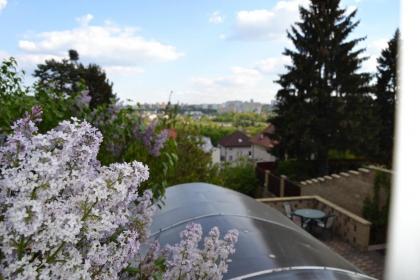 Pension Nika - image 14