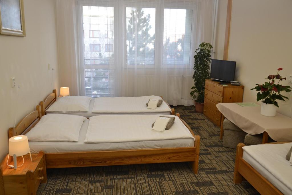 Volha - main image