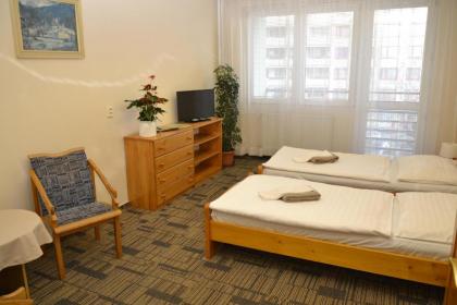 Volha - image 11