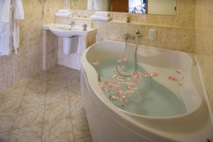 TOP HOTEL Praha - image 11