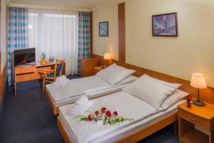 TOP HOTEL Praha - image 17