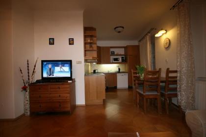 Apartment No 0A Anenska 13 - Stare Mesto - image 19