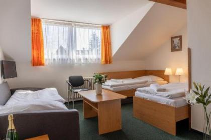 Hotel Kanarek - image 13