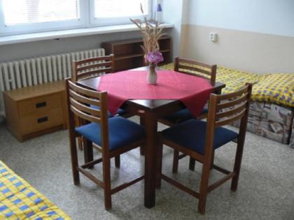 Hostel Modrá - image 10