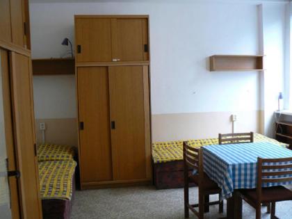 Hostel Modrá - image 11