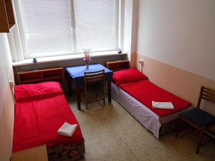 Hostel Modrá - image 13