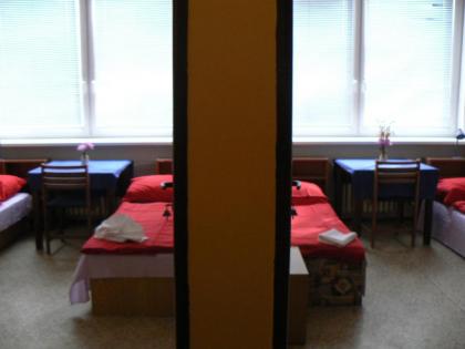 Hostel Modrá - image 20