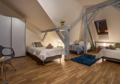 Central Apartments Prague Old Town - image 15