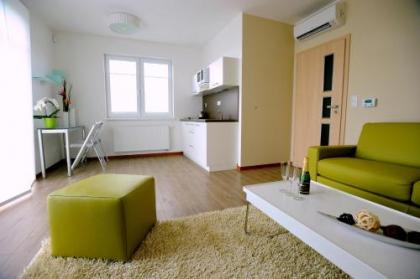 Black Bridge Hotel Apartment - image 8