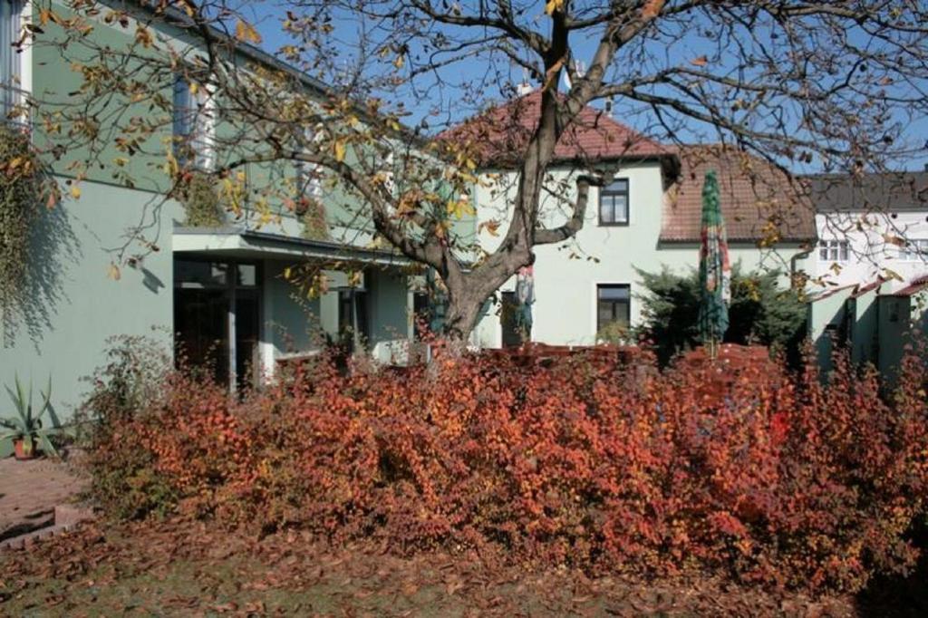 Hotel U Karla - image 7