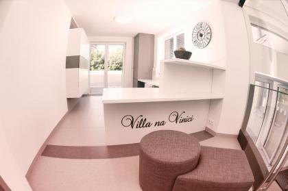 Villa na Vinici - image 3