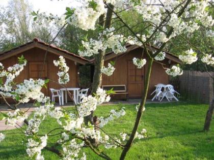 Pension Trojská - image 1