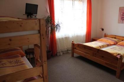 Pension Trojská - image 3