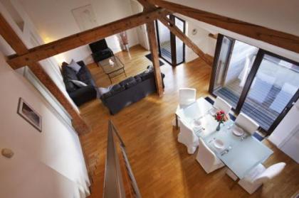 Vltava Penthouse - image 18