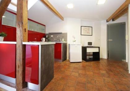 Vltava Penthouse - image 4