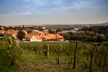 Apartmány Vinice Salabka - image 3