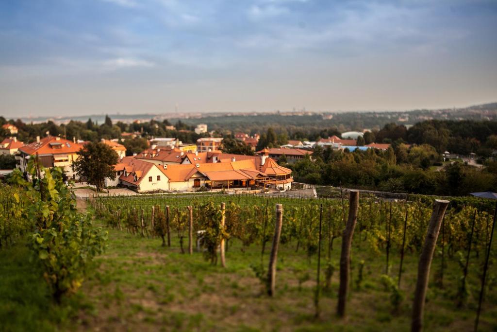 Apartmány Vinice Salabka - image 3