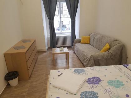 Hostel Opletalova - image 16