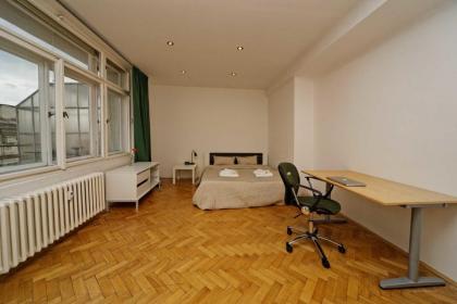 Apartments Vorsilska - image 17