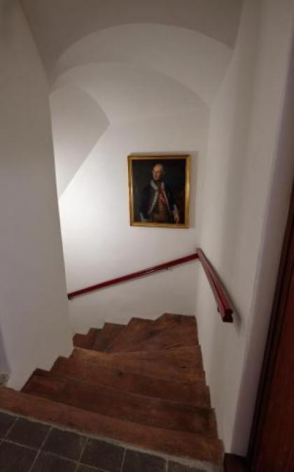 Queen Bee apartments - image 20