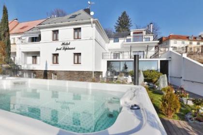 Wellness & SPA boutique Hotel pod lipkami Prague - image 1