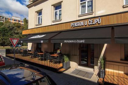 Penzion U Čejpu - image 15